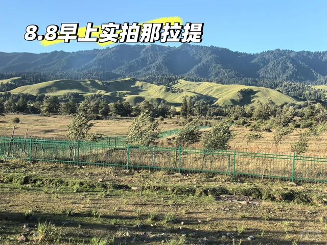 那拉提草原小红书实拍参考
